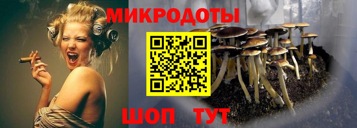 Галлюциногенные грибы Cubensis Мелеуз