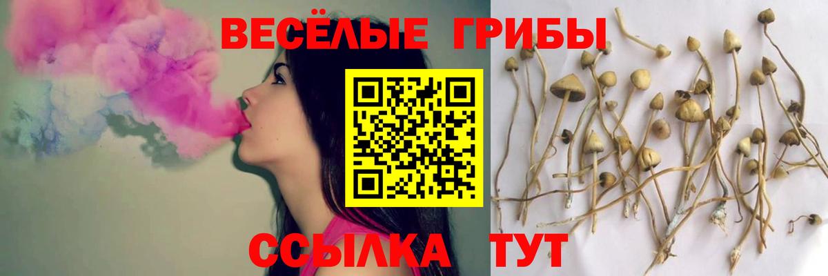 купить  сайты  Галлюциногенные грибы ЛСД  Вход с VPN  Мелеуз 